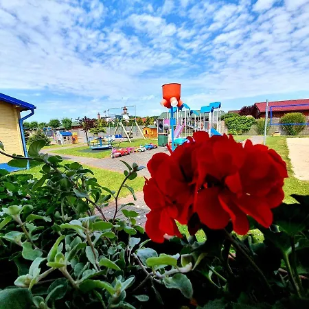 Wir - Letniskowe Gąski