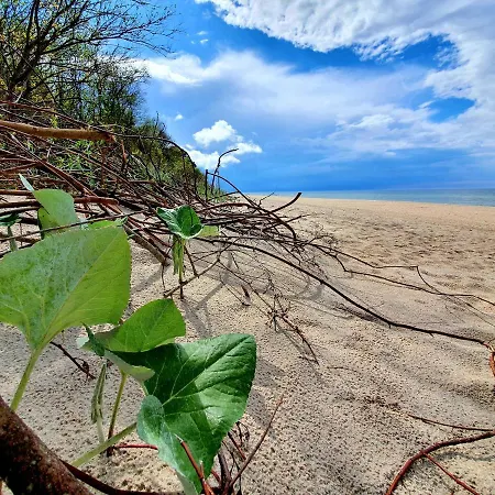 Wir - Letniskowe Dom wakacyjny Gąski
