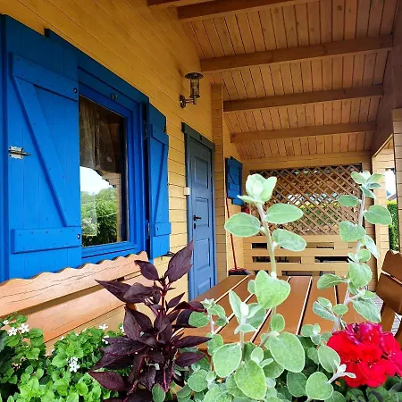 Wir - Letniskowe * Gąski