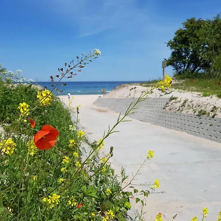 Wir - Letniskowe Gąski