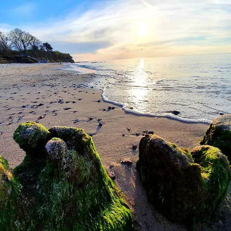 Wir - Letniskowe Gąski