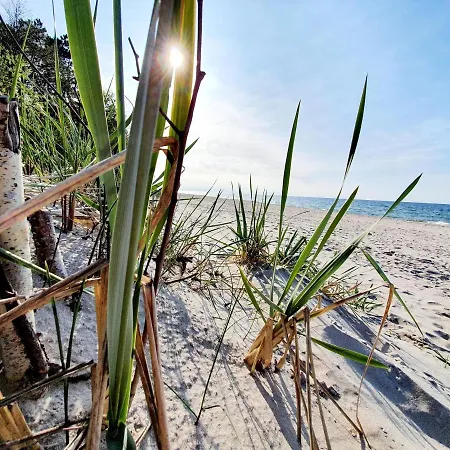 Wir - Letniskowe Dom wakacyjny *
