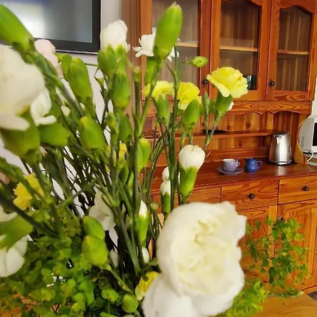 Wir - Letniskowe Dom wakacyjny