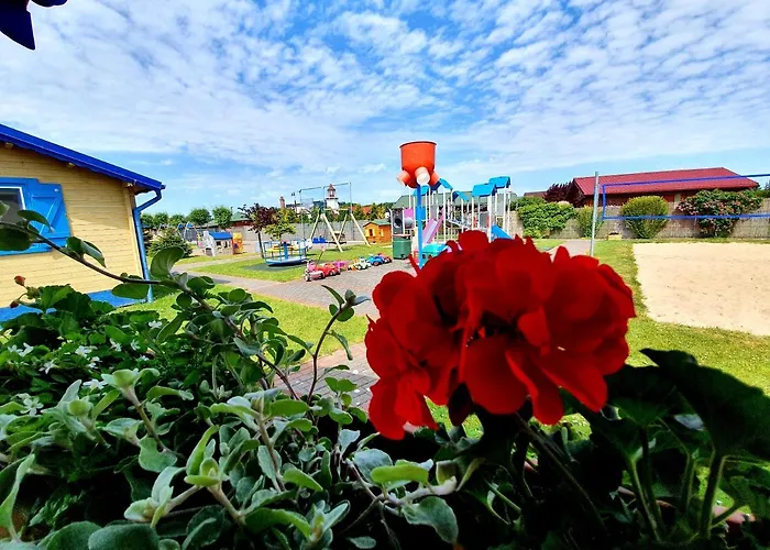 Wir - Letniskowe Gąski