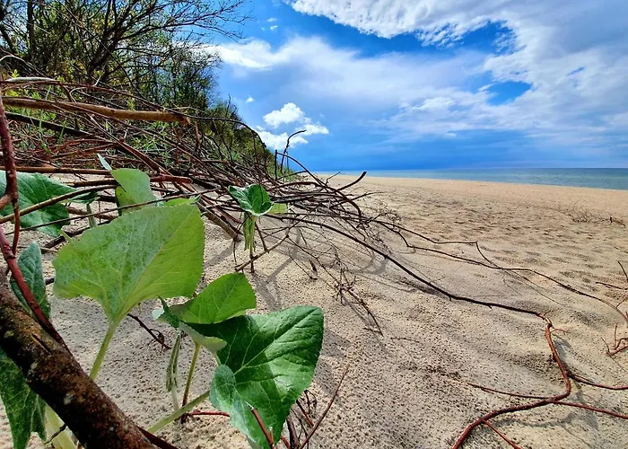 Wir - Letniskowe 別荘 Gąski