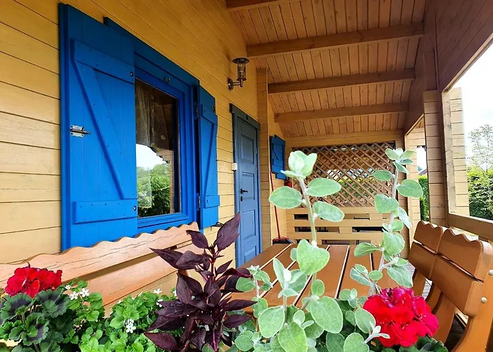 Wir - Letniskowe * Gąski