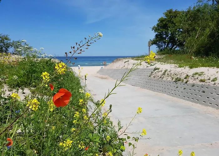 Wir - Letniskowe Gąski