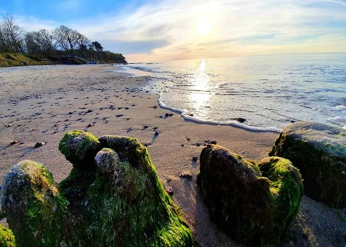 Wir - Letniskowe Gąski