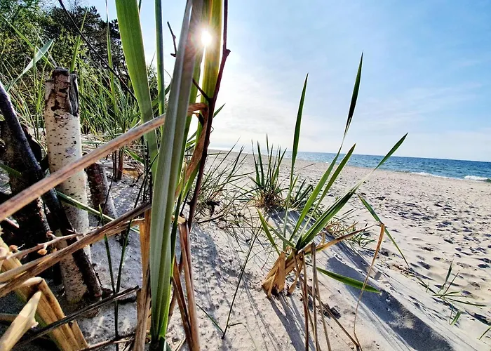 Wir - Letniskowe 別荘 *