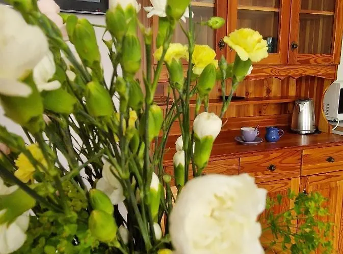 Wir - Letniskowe Casa de Férias