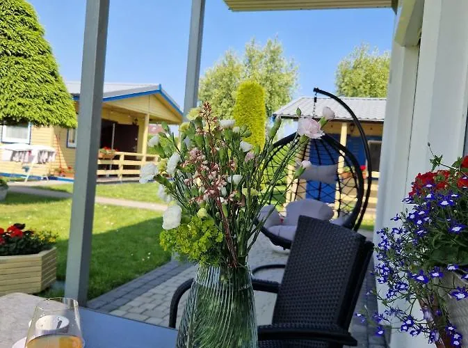 Wir - Letniskowe * Gąski